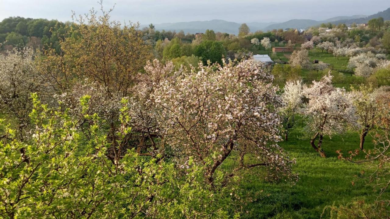 Bat'Kivska Hata Sztari Kuti Kültér fotó